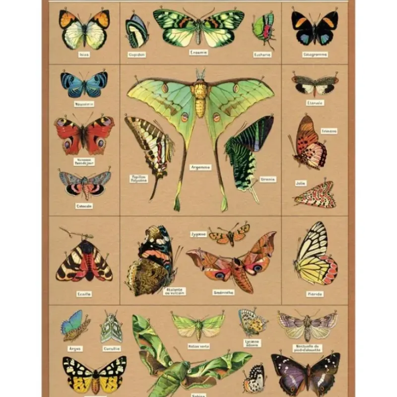 Cavallini Vintage Art Poster - Entomology - Little Painter Art | Exploring the Endless Possibilities of Art| Shop All