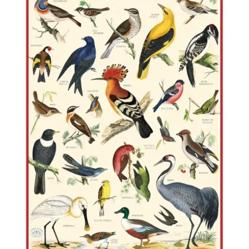 Cavallini Vintage Art Poster - British Birds - Little Painter Art | Exploring the Endless Possibilities of Art| Shop All