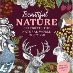 Chartwell Books Coloring Book - Beautiful Nature - Little Painter Art | Exploring the Endless Possibilities of Art| Hot