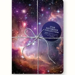 Chronicle Books Star Notebook Collection 3pk - Little Painter Art | Exploring the Endless Possibilities of Art| Hot