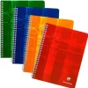 Clairefontaine Matris Coilbound Notebook, Graph, Assorted - Little Painter Art | Exploring the Endless Possibilities of Art| Shop All