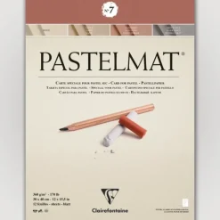 Clairefontaine Pastelmat N7 360g 30x40 12 sheets - Little Painter Art | Exploring the Endless Possibilities of Art| Pigment