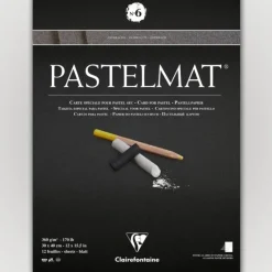 Clairefontaine Pastelmat N6 360g 30x40 antr 12 sheets - Little Painter Art | Exploring the Endless Possibilities of Art| Pigment