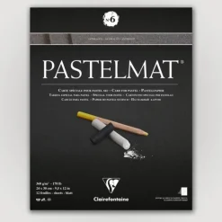 Clairefontaine Pastelmat N6 360g 24x30 antr 12 sheets - Little Painter Art | Exploring the Endless Possibilities of Art| Pigment