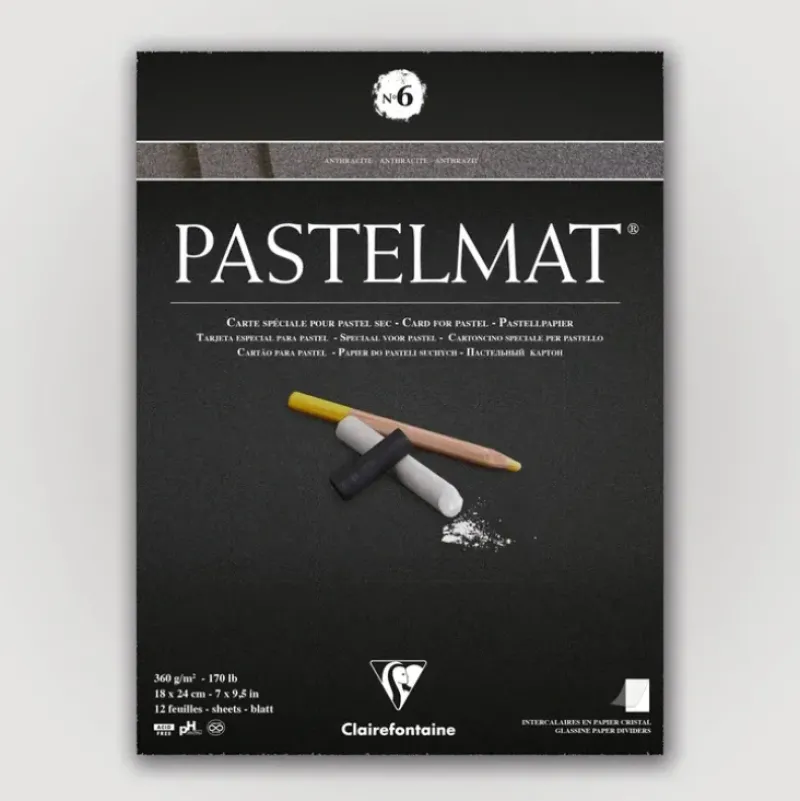 Clairefontaine Pastelmat N6 360g 18x24 antr 12 sheets - Little Painter Art | Exploring the Endless Possibilities of Art| Pigment