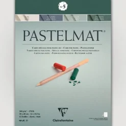 Clairefontaine Pastelmat N5 360g 30x30 groen 12 sheets - Little Painter Art | Exploring the Endless Possibilities of Art| Pigment