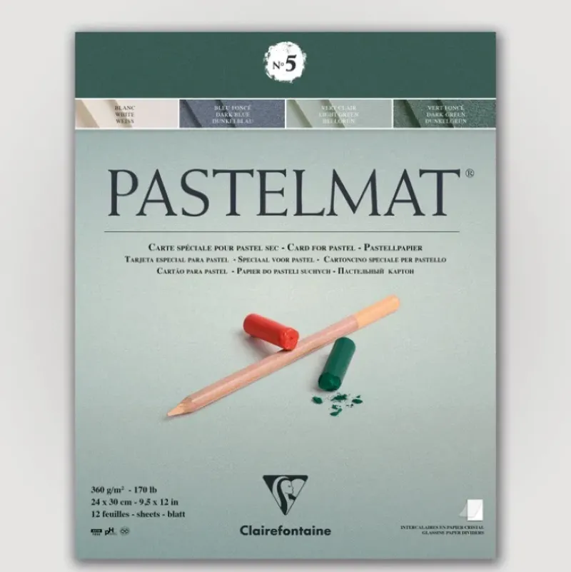 Clairefontaine Pastelmat N5 360g 24x30 groen 12 sheets - Little Painter Art | Exploring the Endless Possibilities of Art| Pigment