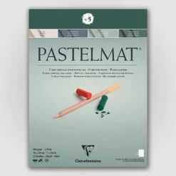 Clairefontaine Pastelmat N5 360g 18x24 groen 12 sheets - Little Painter Art | Exploring the Endless Possibilities of Art| Pigment