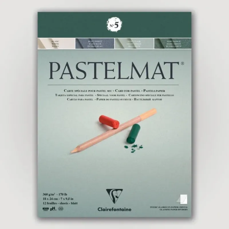 Clairefontaine Pastelmat N5 360g 18x24 groen 12 sheets - Little Painter Art | Exploring the Endless Possibilities of Art| Pigment