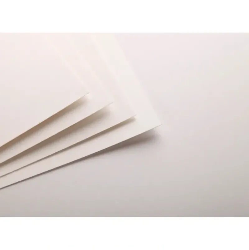 Clairefontaine Pastelmat N3 360g 24x30 wit 12 sheets - Little Painter Art | Exploring the Endless Possibilities of Art| Pigment