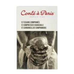 Conte a Paris 12 Compressed Charcoal Sticks - Little Painter Art | Exploring the Endless Possibilities of Art| Shop All
