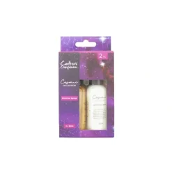 Cosmic Collection Shimmer Sprays (2 Pack) - Little Painter Art | Exploring the Endless Possibilities of Art| Brush