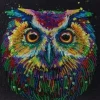 Craft Buddy DIY Crystal Art Medium Framed Kit - Nocturnal Wonder - Little Painter Art | Exploring the Endless Possibilities of Art| Hot