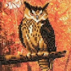 Craft Buddy DIY Crystal Art Card Kit - Autumn Owl - Little Painter Art | Exploring the Endless Possibilities of Art| Hot