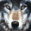 Craft Buddy DIY Crystal Art Medium Framed Kit - Wolf - Little Painter Art | Exploring the Endless Possibilities of Art| Canvas