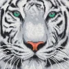 Craft Buddy DIY Crystal Art Medium Framed Kit - White Tiger - Little Painter Art | Exploring the Endless Possibilities of Art| Canvas