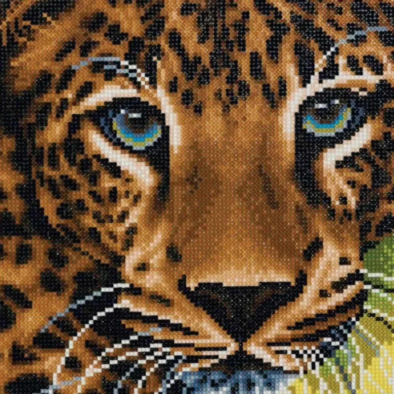 Craft Buddy DIY Crystal Art Framed Kit - Leopard - Little Painter Art | Exploring the Endless Possibilities of Art| Canvas
