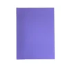 Craft Foam Sheet - Purple - Little Painter Art | Exploring the Endless Possibilities of Art| Shop All