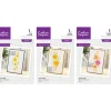 Crafter's Companion Cluster Lift 3pc Selection - Little Painter Art | Exploring the Endless Possibilities of Art| Shop All