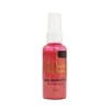 Crafter's Companion Shimmer Spray - Deep Seashell Pink - Little Painter Art | Exploring the Endless Possibilities of Art| Brush