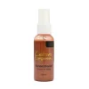 Crafter's Companion Shimmer Spray - Sunset Bronze - Little Painter Art | Exploring the Endless Possibilities of Art| Brush