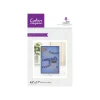 Crafter's Companion Stamp & Dies - Many Congrats - Little Painter Art | Exploring the Endless Possibilities of Art| Shop All