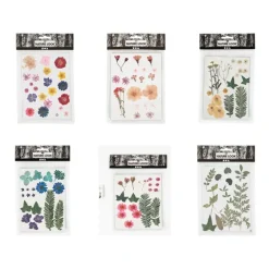 Creativ Pressed Flowers & Leaves 6pc Bundle - Little Painter Art | Exploring the Endless Possibilities of Art| Shop All