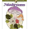 Creative Haven Colouring Book - The Art of Mushrooms - Little Painter Art | Exploring the Endless Possibilities of Art| Hot