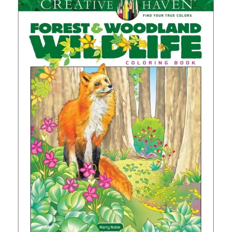 Creative Haven Colouring Book - Forest & Woodland - Little Painter Art | Exploring the Endless Possibilities of Art| Hot