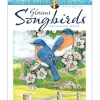 Creative Haven Colouring Book - Glorious Songbirds - Little Painter Art | Exploring the Endless Possibilities of Art| Hot
