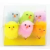 CTG Chenille Chicks 6pk Assorted - Little Painter Art | Exploring the Endless Possibilities of Art| Shop All