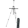 Daler-Rowney Simply Portable Field Easel - Little Painter Art | Exploring the Endless Possibilities of Art| Canvas