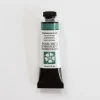 Daniel Smith Watercolor 15ml Interference Green 1 - Little Painter Art | Exploring the Endless Possibilities of Art| Pigment