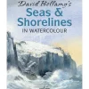 David Bellamy's Seas & Shorelines in Watercolour - D. Bellamy - Little Painter Art | Exploring the Endless Possibilities of Art| Shop All