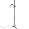 Daylight Artist Studio Floor Lamp - Little Painter Art | Exploring the Endless Possibilities of Art| Canvas