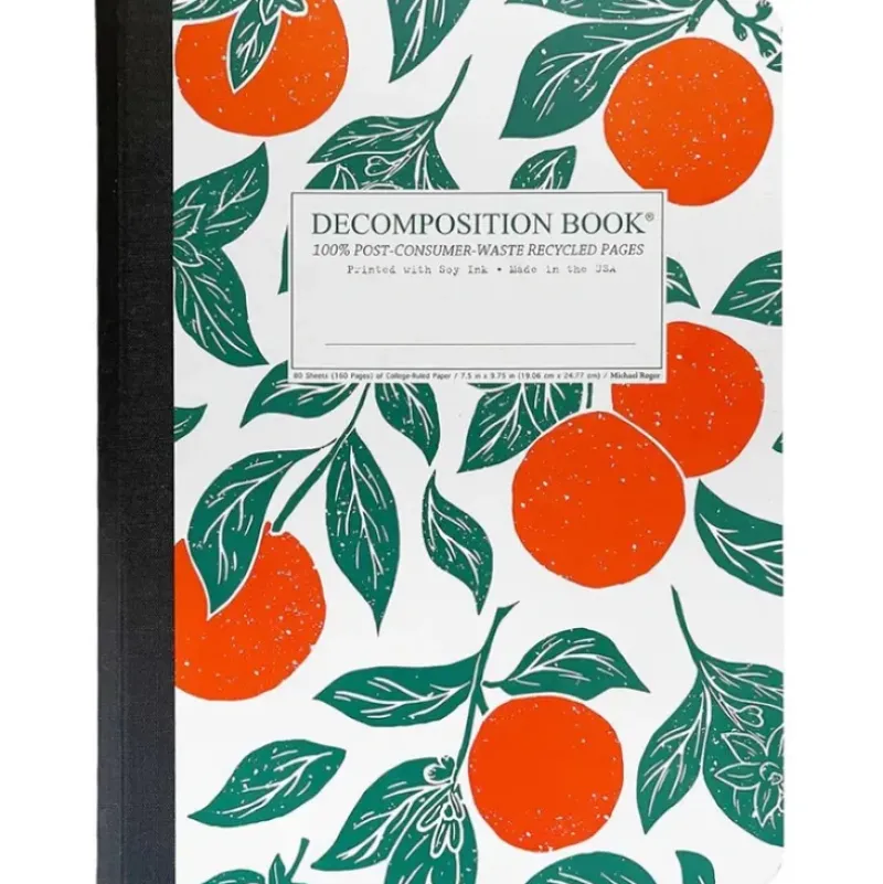 Decomposition Notebook - Oranges - Little Painter Art | Exploring the Endless Possibilities of Art| Hot