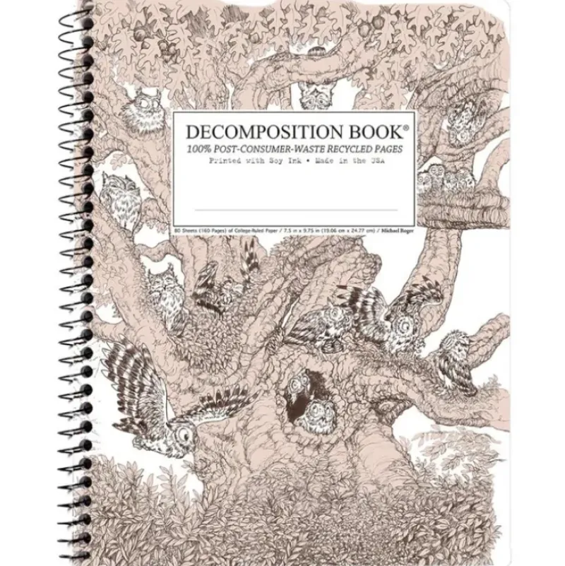 Decomposition Notebook, Coilbound - Screech Owl - Little Painter Art | Exploring the Endless Possibilities of Art| Shop All