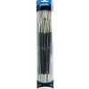 Derivan Professional Long Handle Natural Hog Bristle Brush Set(A) of 5 - Little Painter Art | Exploring the Endless Possibilities of Art| Brush