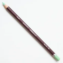 Derwent Coloursoft 490 Pale Mint - Little Painter Art | Exploring the Endless Possibilities of Art| Pigment