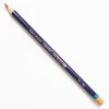 Derwent Inktense 1720 Tan - Little Painter Art | Exploring the Endless Possibilities of Art| Shop All