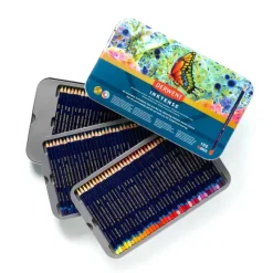 Derwent Inktense Watercolour Ink Pencils - Set of 100 Assorted Colours - Little Painter Art | Exploring the Endless Possibilities of Art| Pigment