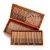 Derwent Lightfast Coloured Pencils - Wooden Box Set of 100 - Little Painter Art | Exploring the Endless Possibilities of Art| Shop All