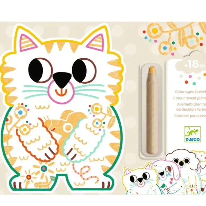 Djeco Colouring Reveal Kit - Domestic Animals - Little Painter Art | Exploring the Endless Possibilities of Art| Hot