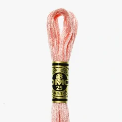 DMC Moulin Spcial 761 - Little Painter Art | Exploring the Endless Possibilities of Art| Shop All