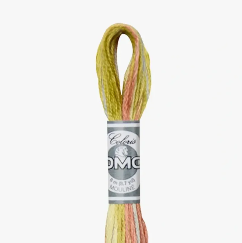 DMC Mouline Coloris 4508 - Little Painter Art | Exploring the Endless Possibilities of Art| Shop All