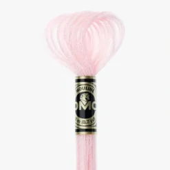DMC Mouline Effet Lumire E818 - Little Painter Art | Exploring the Endless Possibilities of Art| Shop All