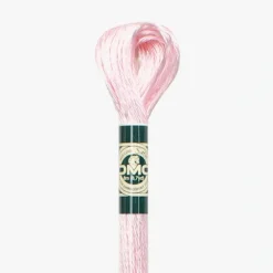 DMC Mouline Satin S818 - Little Painter Art | Exploring the Endless Possibilities of Art| Shop All
