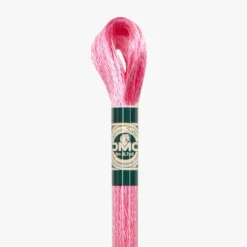DMC Mouline Satin S899 - Little Painter Art | Exploring the Endless Possibilities of Art| Shop All