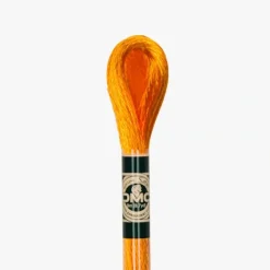 DMC Mouline Satin S741 - Little Painter Art | Exploring the Endless Possibilities of Art| Shop All