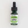 Brush^Dr. Ph. Martins Radiant Concentrated 50D Ice Green - Little Painter Art | Exploring the Endless Possibilities of Art